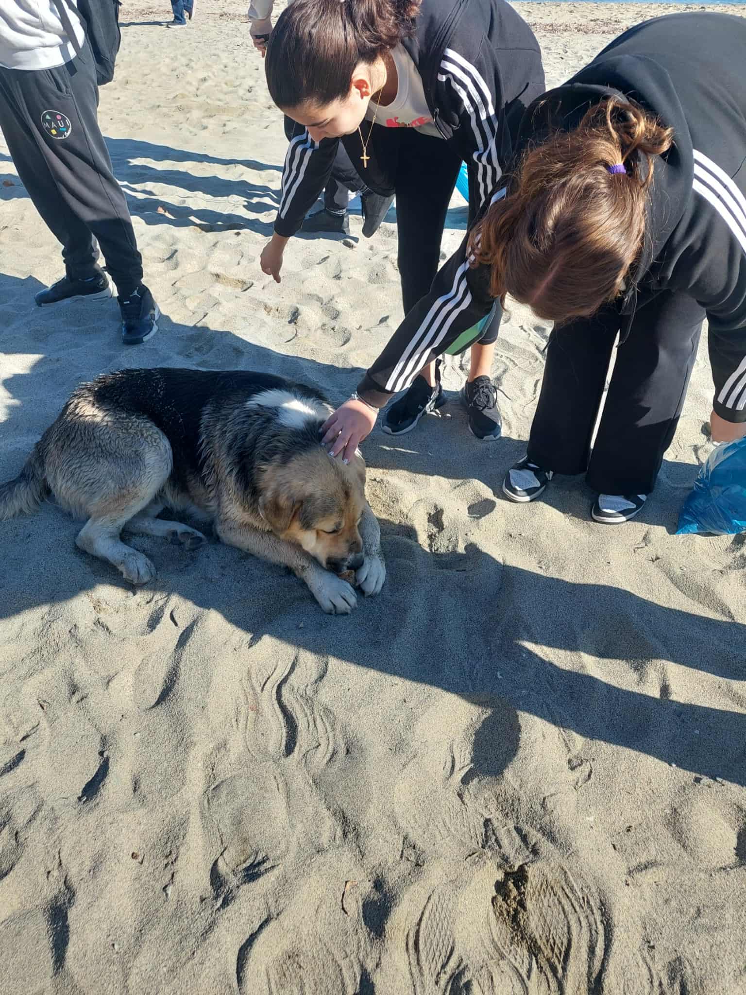 12η Πανελλήνια Ημέρα Σχολικού Αθλητισμού 2025